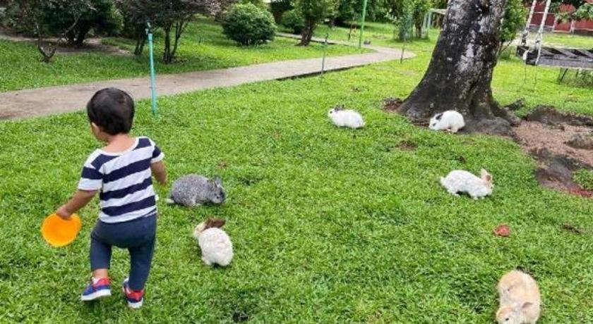 V Valley Resort Satun Luaran gambar