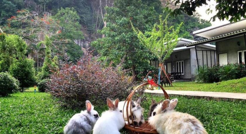 V Valley Resort Satun Luaran gambar